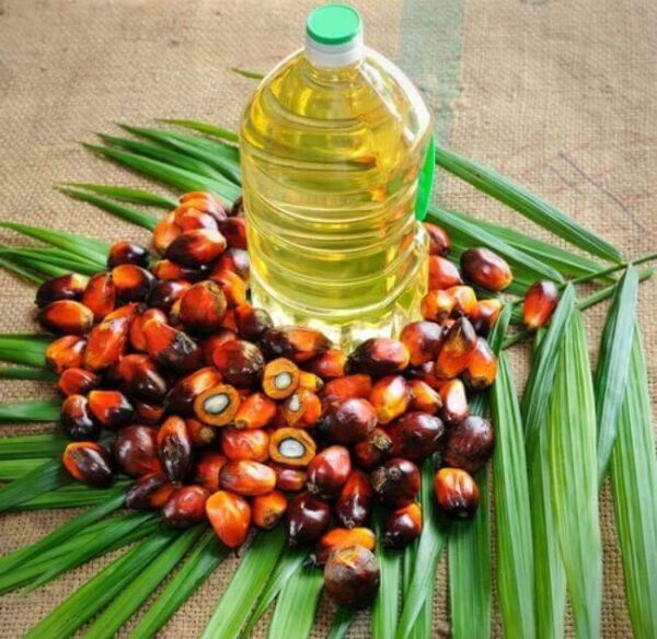 Refined Palm Oil/Kernel/Shell